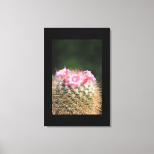 Canvas Art-Cactus Print