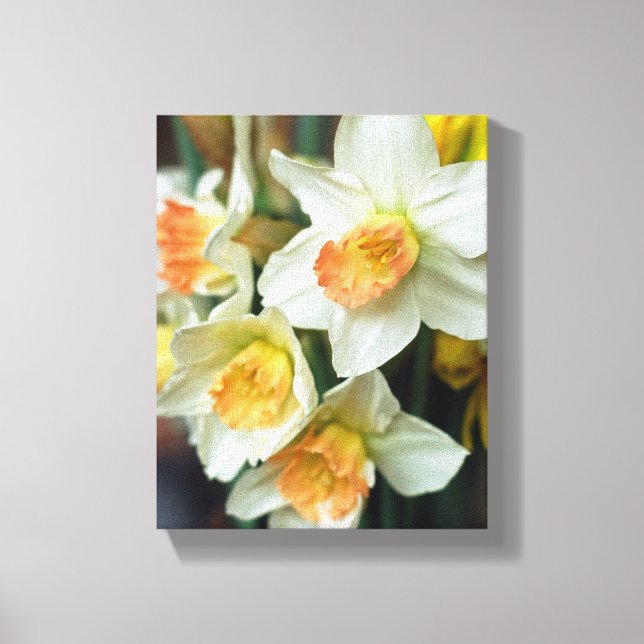 Canvas Art-Daffodils (Front)