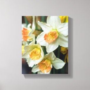 Canvas Art-Daffodils Print