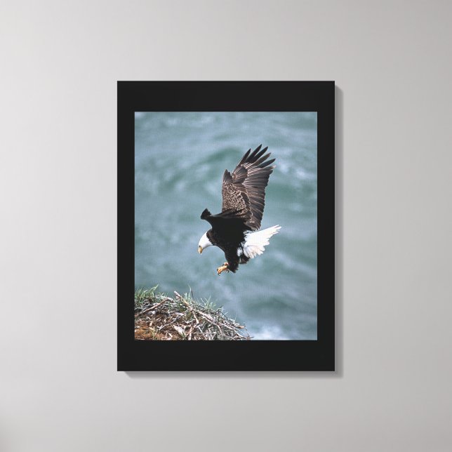 Canvas Art-Eagle (Front)
