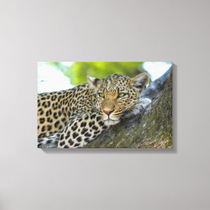 Canvas Art-Leopard Print