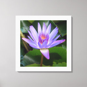 Canvas Art-Lotus Flower