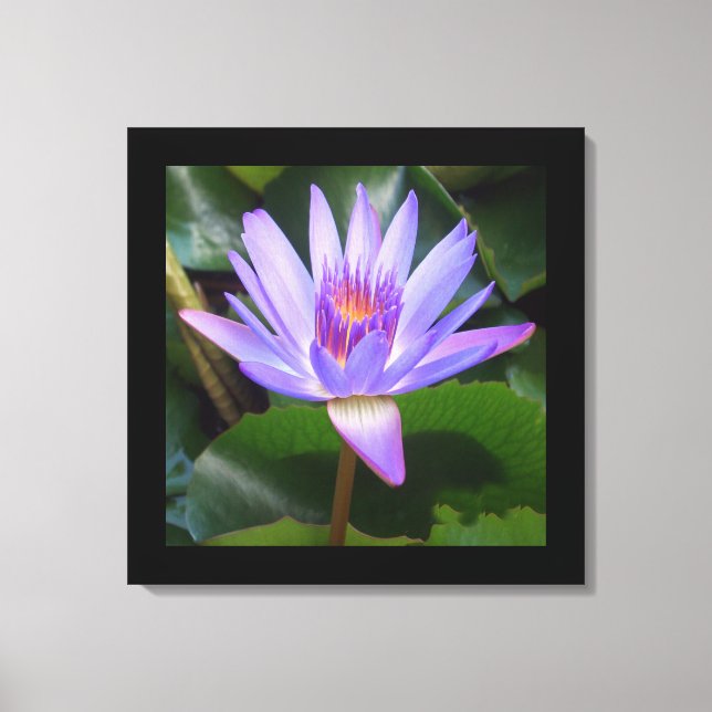 Canvas Art-Lotus Flower Print (Front)