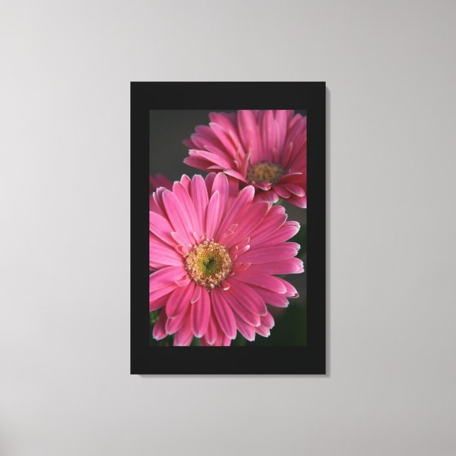 Canvas Art-Pink Daisies Print (Front)