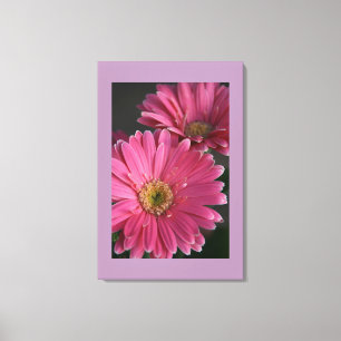 Canvas Art-Pink Daisies Print
