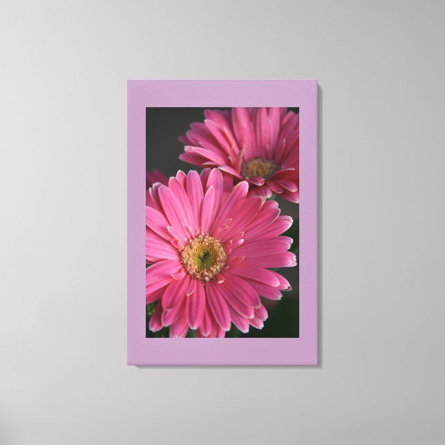 Canvas Art-Pink Daisies Print (Front)