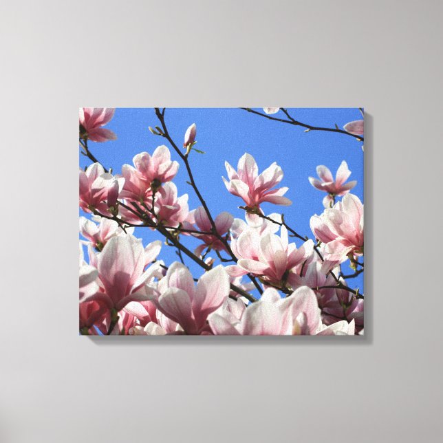 Canvas Art-Pink Magnolia Print (Front)