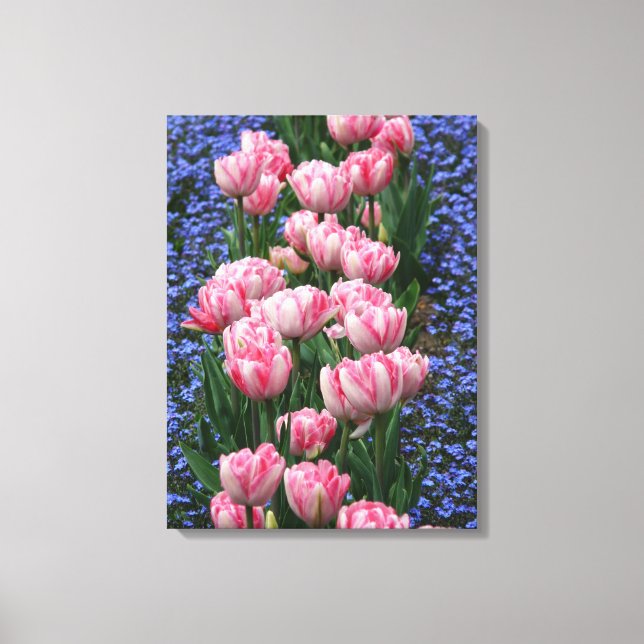 Canvas Art-Pink Tulips (Front)