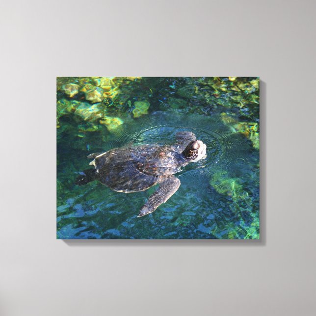 Canvas Art-Sea Turtle (Front)