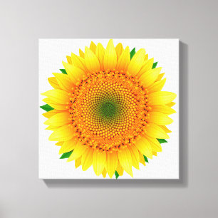 Canvas Art-Sunflower Print