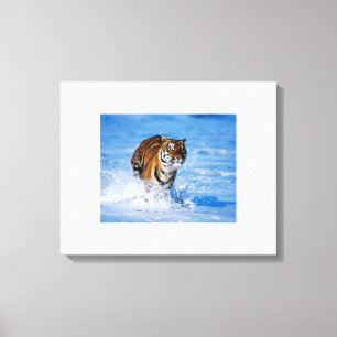 Canvas Art-Tiger Print