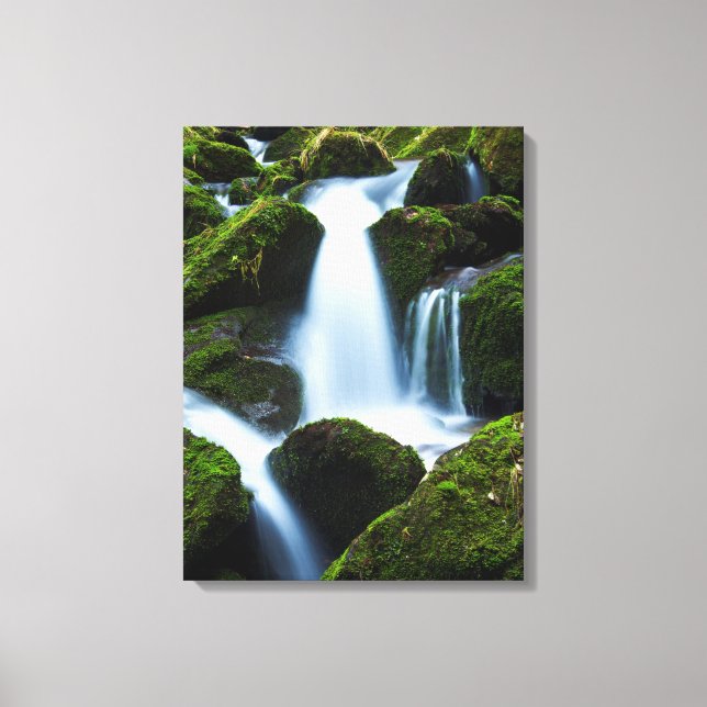 Canvas Art-Waterfall Print (Front)