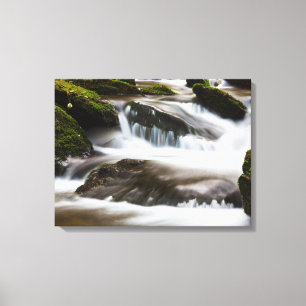 Canvas Art-Waterfall Print