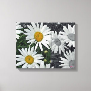 CANVAS Daisies Print