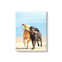 Canvas Gallery Print - Teamwork
