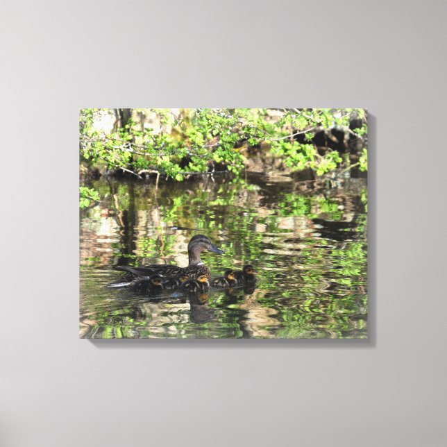 Canvas: Mallard Duck and Ducklings Canvas Print (Front)