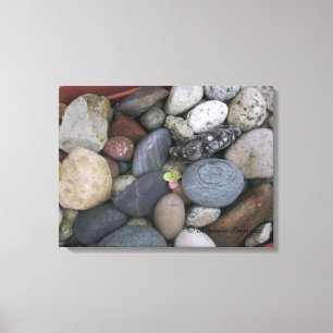 Canvas (Pebbles #1) RFPMDesigns ©️2012