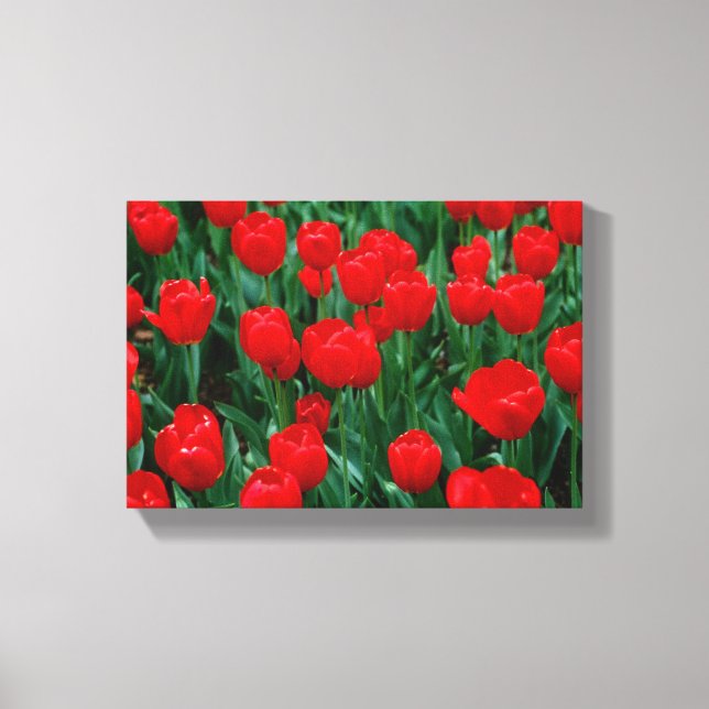 Canvas Print (Front)