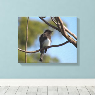 Canvas print - Flycatcher in tree