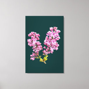 Canvas Print - Lilac Blossoms