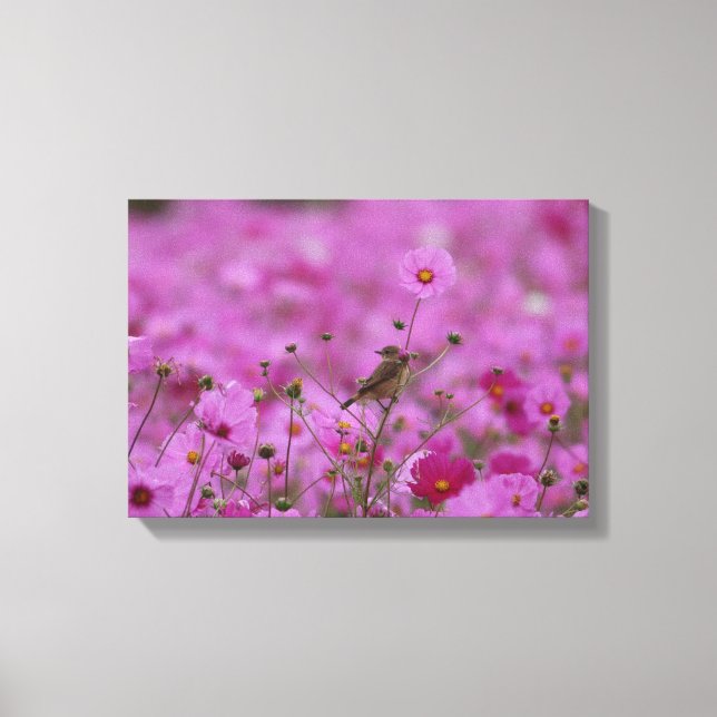 Canvas Print - Morning Glory (Front)