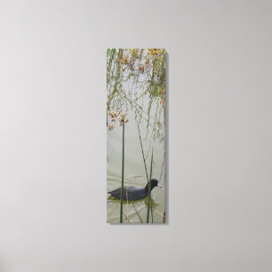 Canvas Print  - Mud Hen in Reeds