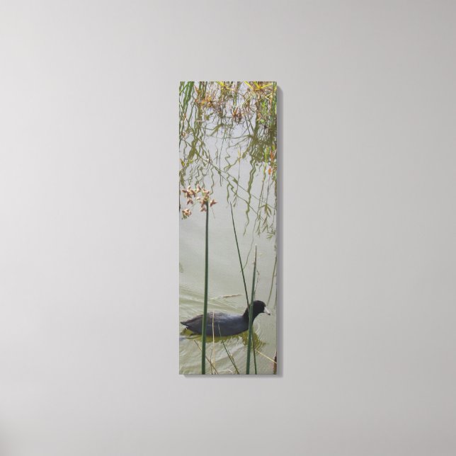 Canvas Print  - Mud Hen in Reeds (Front)