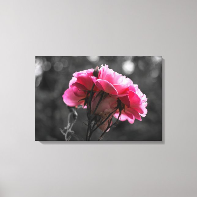 Canvas Print - Pink Rose Eleganace (Front)