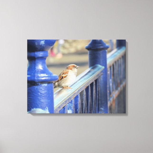 Canvas print - Sparrow on fence (Front)
