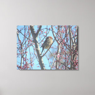 Canvas Print - Spring Contemplation