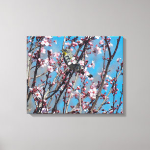 Canvas Print - Springtime Sparrow