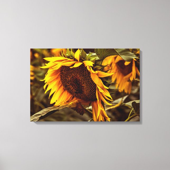 Canvas Print Sunflower Elegance (Front)