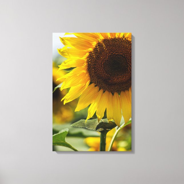 Canvas Print - Sunflower Summer Vibrance (Front)