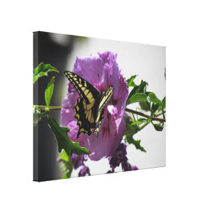 Canvas Print - Swallowtail Butterfly