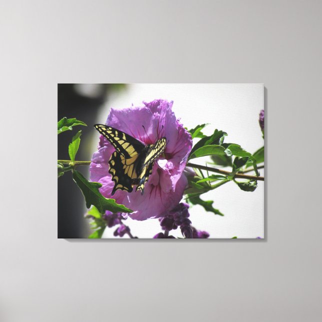 Canvas Print - Swallowtail Butterfly (Front)