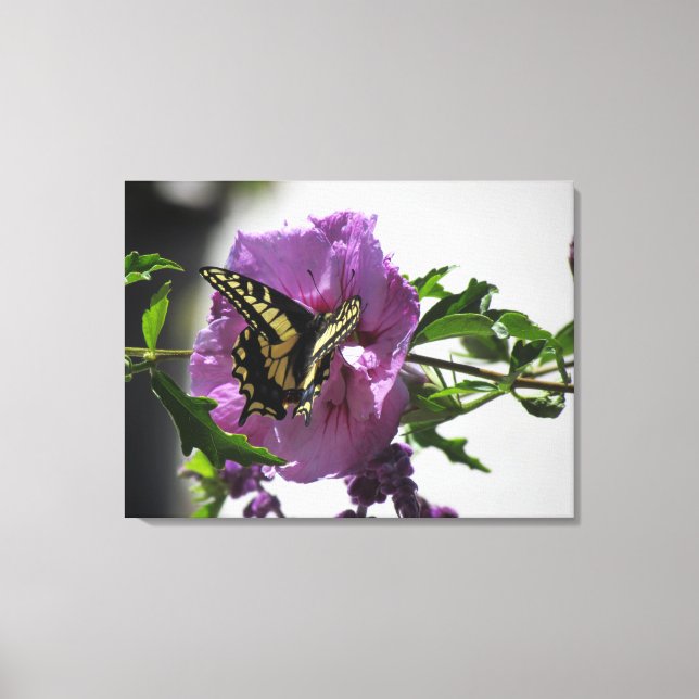 Canvas Print - Swallowtail Butterfly (Front)
