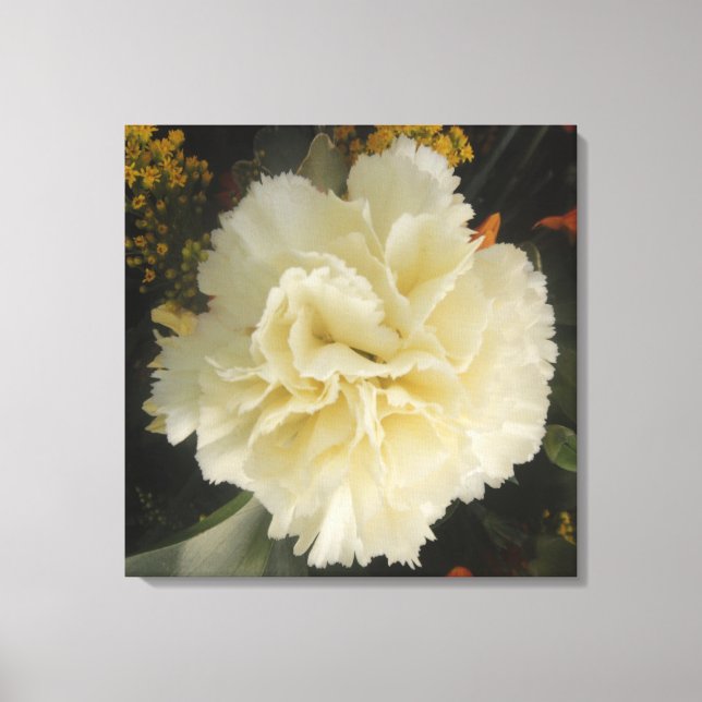 Canvas Print White Carnation Beauty (Front)