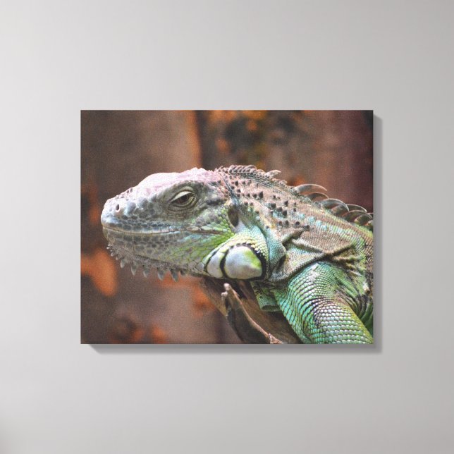 Canvas Print with colourful Iguana lizard (Front)