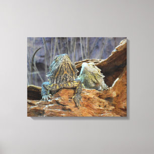 Canvas Print with curious lizards