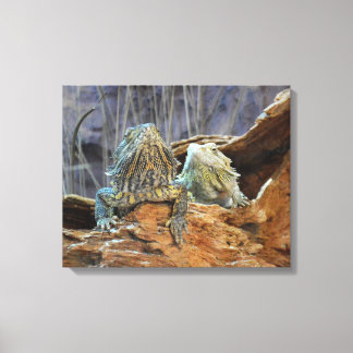 Canvas Print with curious lizards