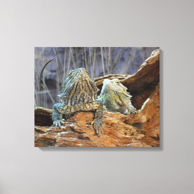 Canvas Print with curious lizards (Front)