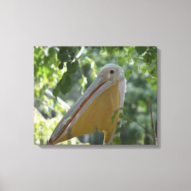 Canvas print with funny pelican (Front)