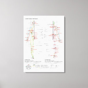 Canvas Schematic Chinese Meridians Musculature Print