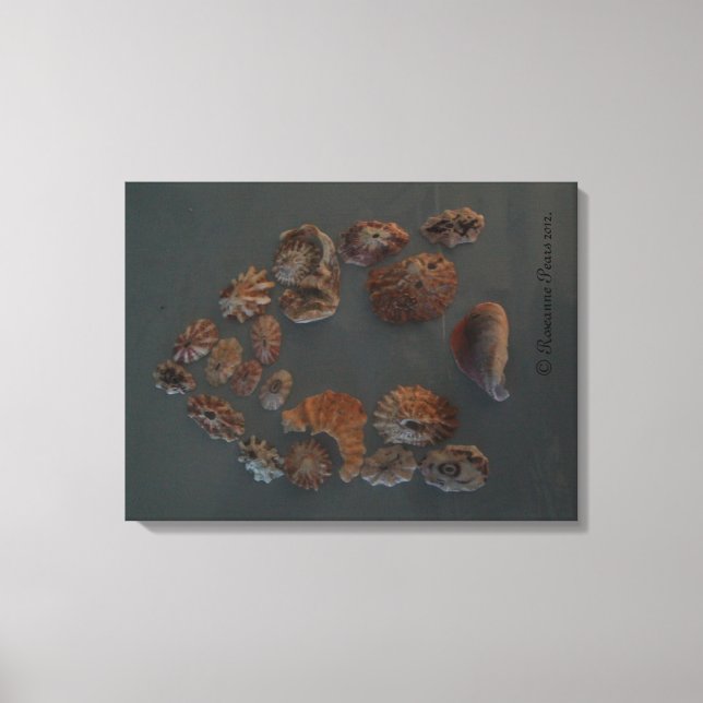 Canvas (SeaShell House) RFPMDesigns ©️2012 (Front)