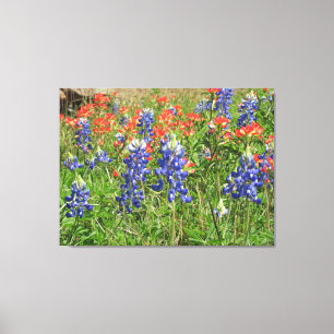 Canvas Texas Wildflowers Bluebonnets Paintbrushes Print
