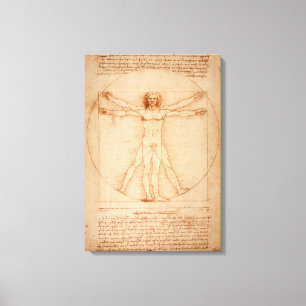 Canvas Vitruvian Man by Leonardo da Vinci