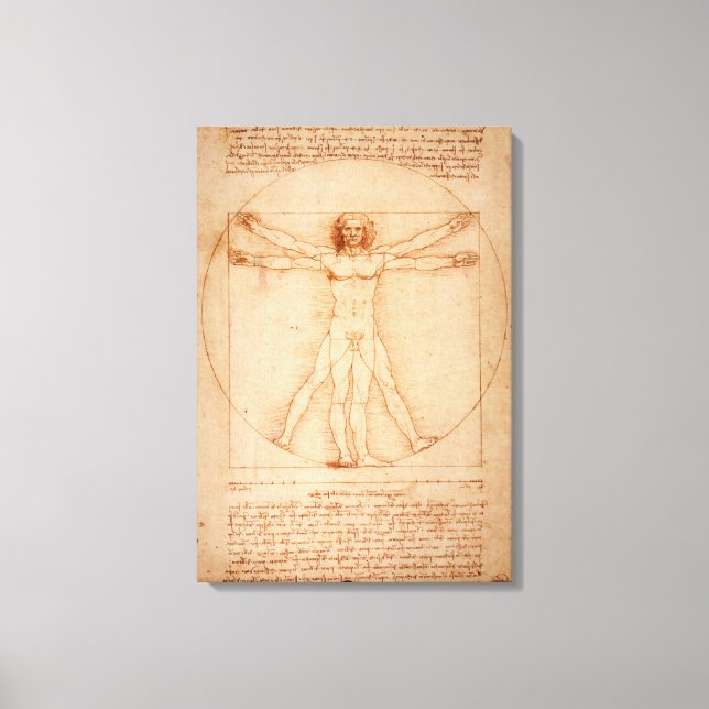 Canvas Vitruvian Man by Leonardo da Vinci (Front)