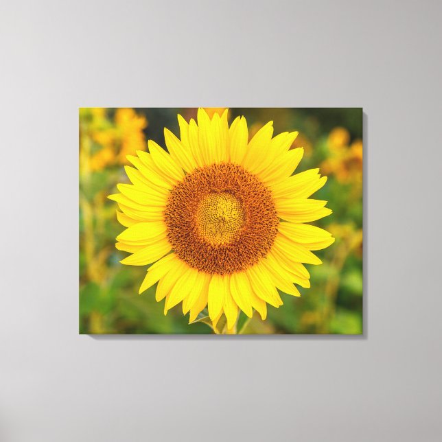 Canvas Wall Art-Sunflower Print (Front)