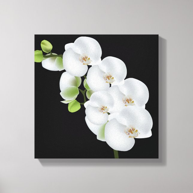 Canvas Wall Art-White Orchids (Front)