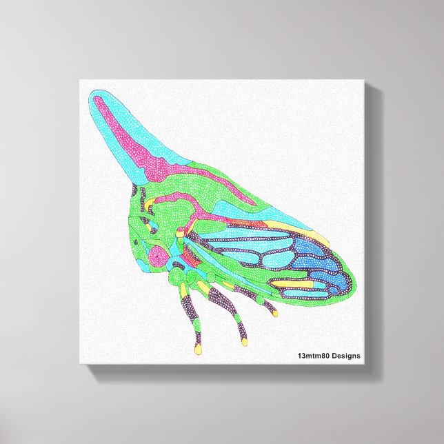Canvas (white) - Oak Treehopper Print (Front)